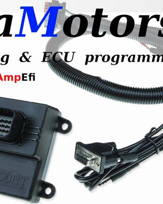 Ecu Centralina Programmabile Microsquirt