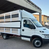 Iveco Daily 35c13 trasporto animali vivi patente B