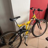 Mountain bike