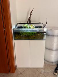 Acquario 100 litri