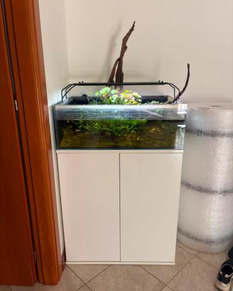 Acquario 100 litri