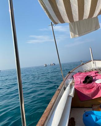Gozzo Ligure