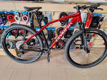 NUOVA MTB IRON IN CARBONIO 