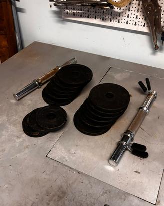 Manubri e pesi palestra a casa