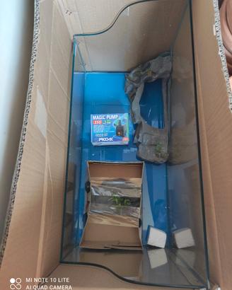 Tartarughiera vetro tartaland Prodac