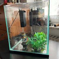 Acquario per pesci con accessori inclusi 