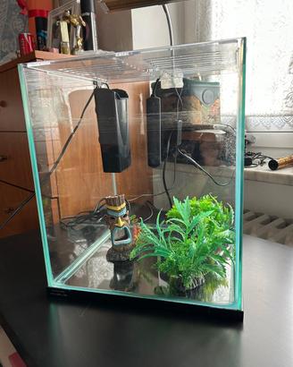 Acquario per pesci con accessori inclusi 