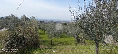 TER. AGRICOLO A TIVOLI