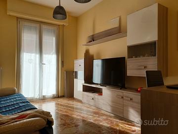 Panoramico ampia metratura