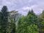 Immagine 25