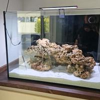 acquario marino o dolce