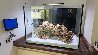 acquario marino o dolce