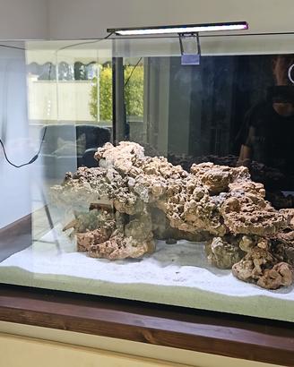 acquario marino o dolce