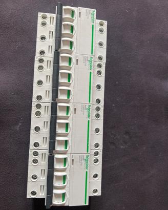 Lotto Interruttori Magnetotermici Schneider