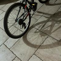 bici virus rossa e nera