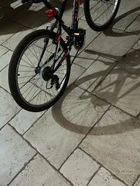 bici virus rossa e nera