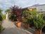 Immagine 9