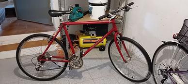 Bicicletta MTB Diamondback Topanga