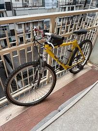 Mountain Bike Sintesi