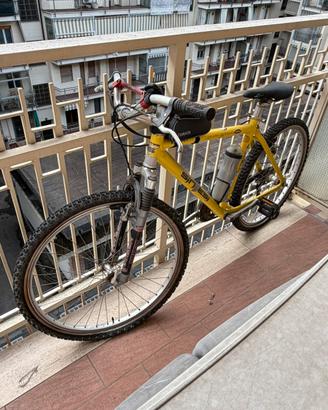Mountain Bike Sintesi