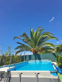 Villa Linda Home Holiday