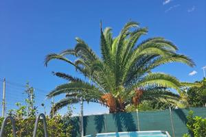 Villa Linda Home Holiday