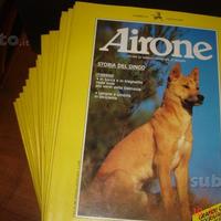 Airone