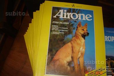 Airone