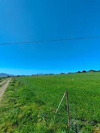 Azienda agricola Nurra