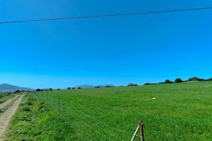 Azienda agricola Nurra