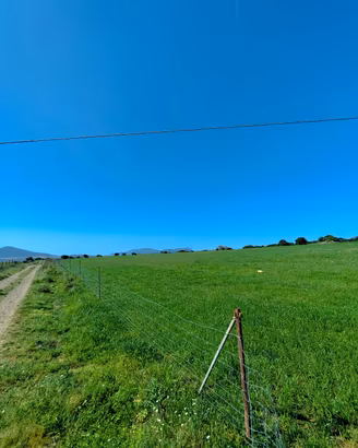 Azienda agricola Nurra