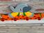 Immagine 3