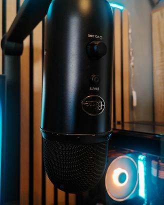 Blue Yeti + Asta della Blue