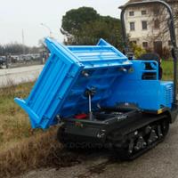 Motocarriola dumper