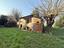 Immagine 24