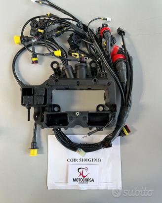 Cablaggio principale Panigale V4 R SSTK 2019