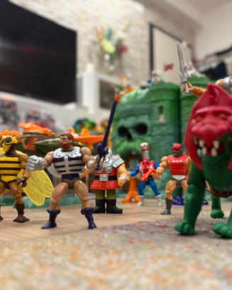 Lotto 45 pezzi Masters of the Universe - Origins