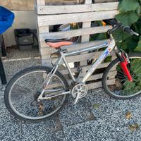 bicicletta MTB
