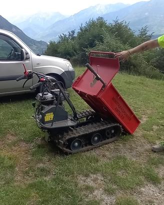 motocarriola mini transporter  axo amtc 3.0