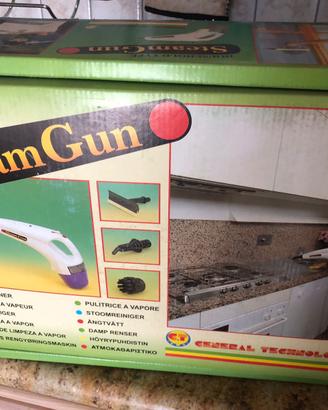 Steam Gun per pulizia moto-auto vapore+Girarrosto