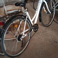 Bicicletta Denver Trek
