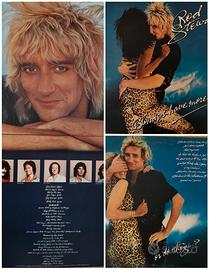 Lp vinile ROD STEWART