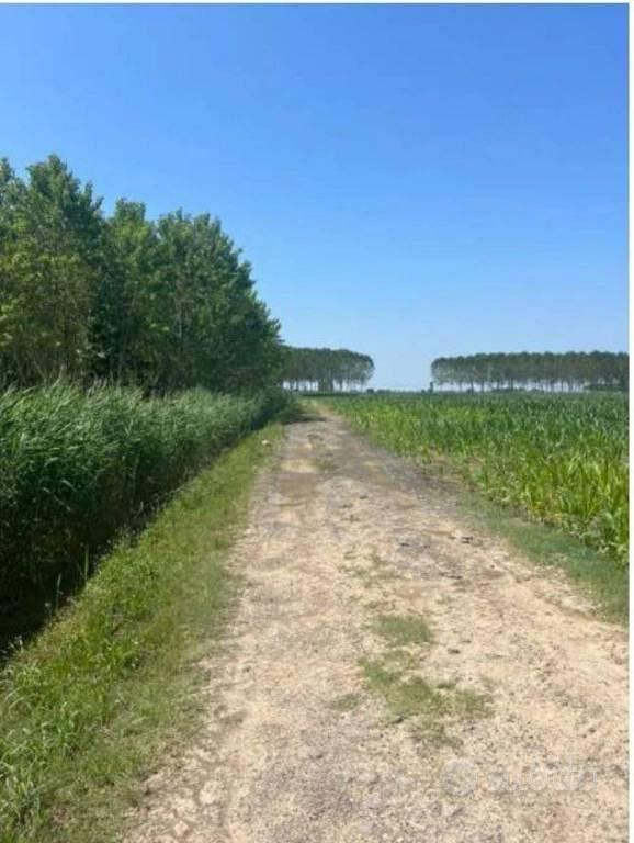 Immobile in asta di 21400 m² a Villimpenta - Vista 3