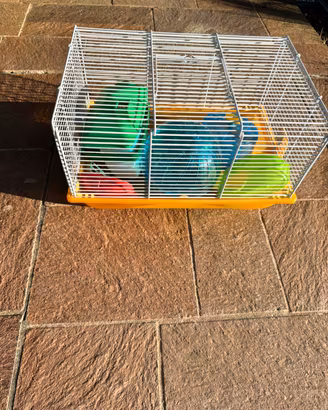 Gabbia nuova cricieto o topolino