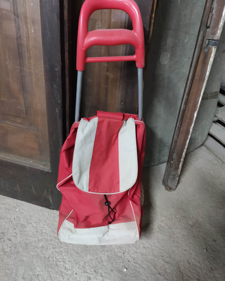 Carrello per la spesa