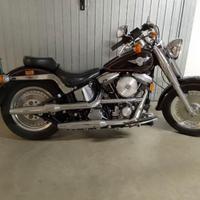 Harley  Fat Boy