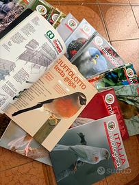 Collezione Rnitologica 2006 a 2012