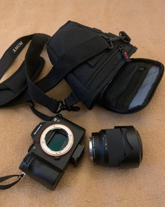 Sony Alpha A7 II + Sony FE 28-70mm f/3.5-5.6 OS