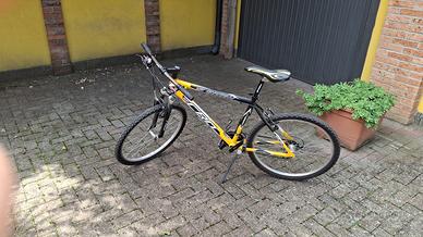 Bicicletta Mountain bike CRN Carnielli 