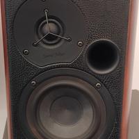 diffusori + amplificatore 